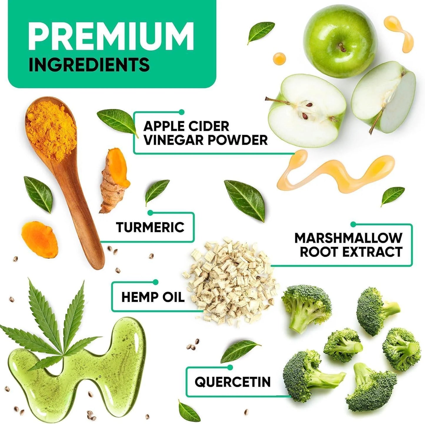 Natural Dog Allergy Chews for Dog Itch Tasty Allergy Relief Pet Supplement For