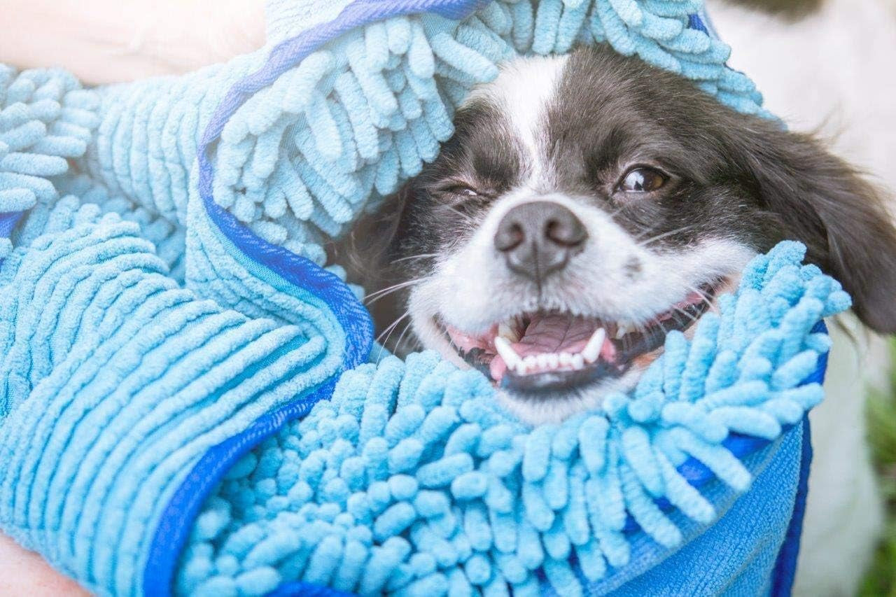 Quick Dry Towel for Dogs - Ultra Absorbent Microfiber Shammy