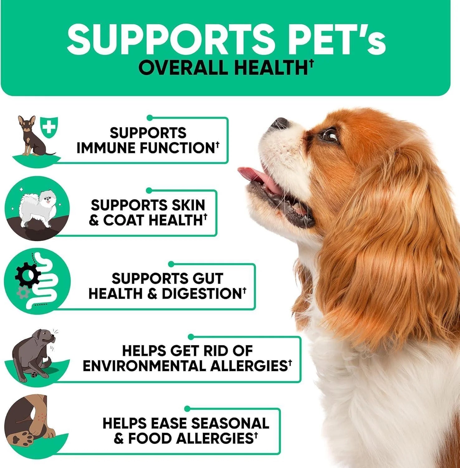 Natural Dog Allergy Chews for Dog Itch Tasty Allergy Relief Pet Supplement For