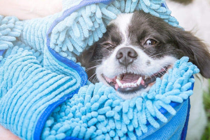 Quick Dry Towel for Dogs - Ultra Absorbent Microfiber Shammy 